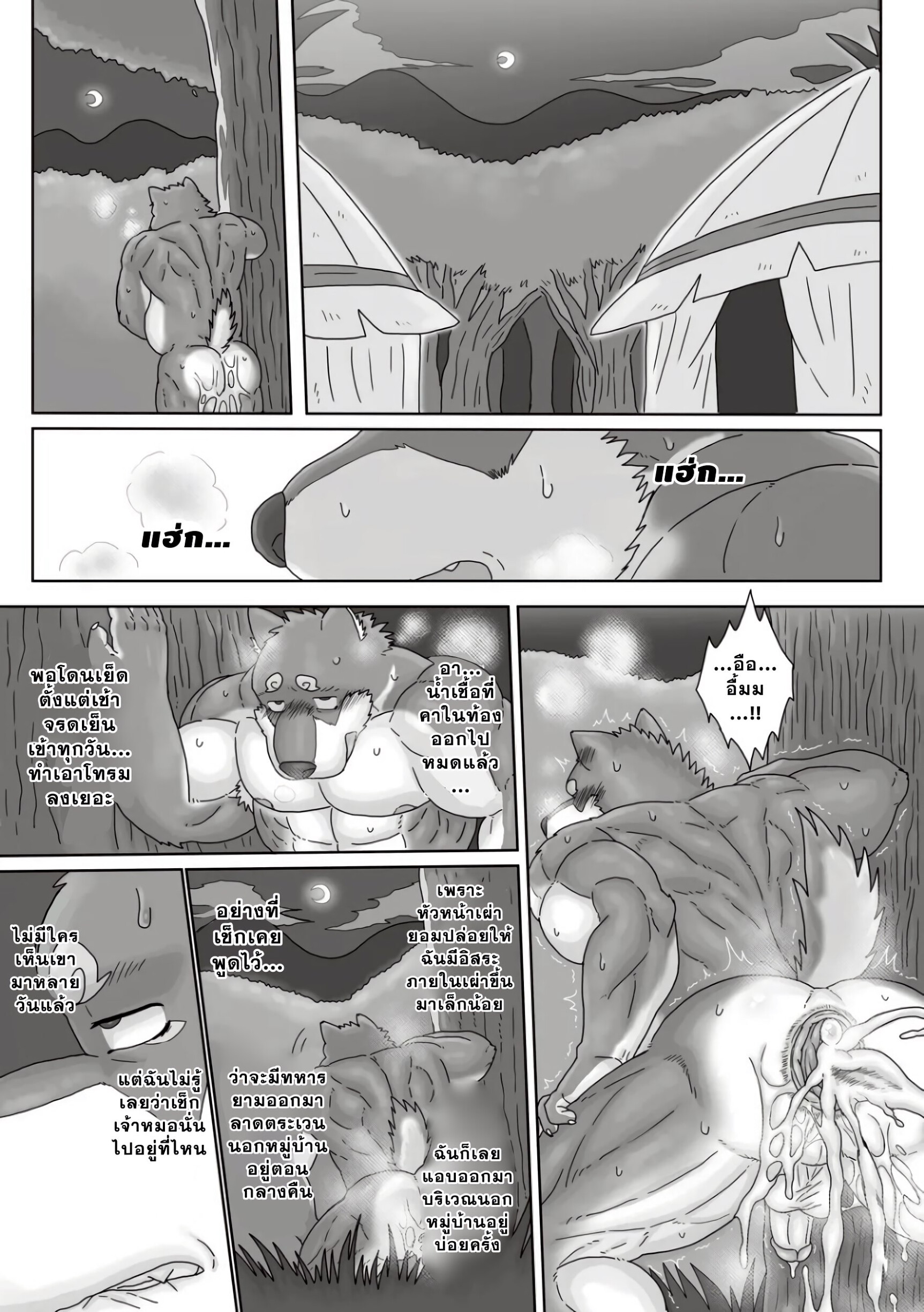 ตามหาสมุนไพร 03-4